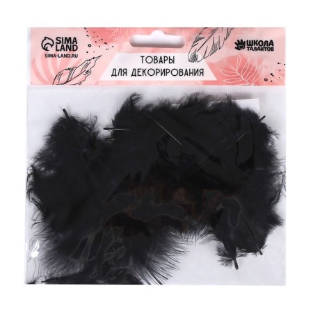 A set of feathers for decor 10 pcs., Size 1 pc: 10 × 2 cm, black color-1