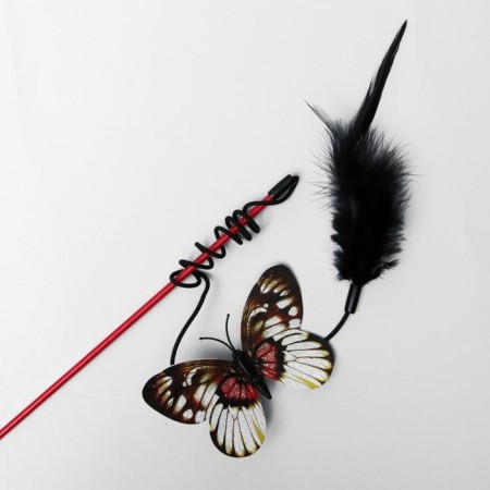 Testing "Butterfly" with feathers, mix of flowers-1