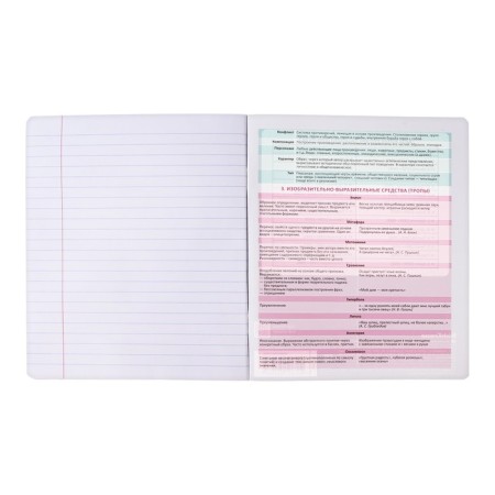 Subject notebook, 48 sheets, ruler, literature Erichkrause "Persons", Plastic Cover Silkography, Bloc Offset Beliac 100%, Info-block-8