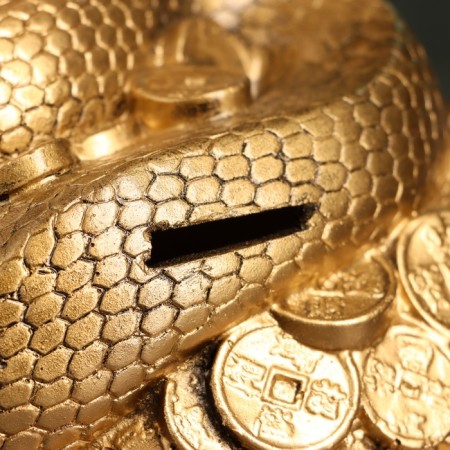 Piggy bank "Cobra on money" gold 25x18x20cm-4