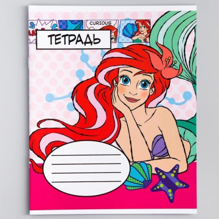 Notebook in a cage 12 sheets, 5 types of mix, cover coated cardboard, princesses-3