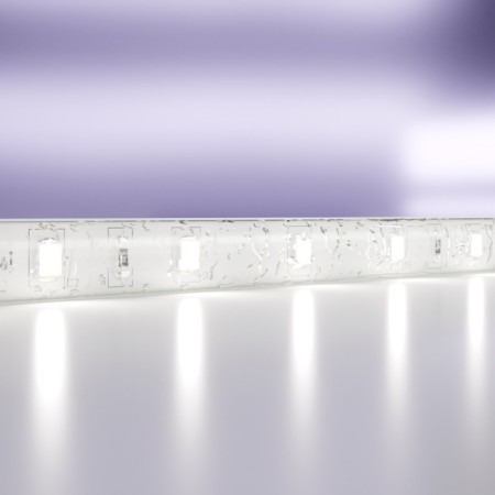 Maytoni LED tape, 24V, IP65, 2835, 7.2W/m, 6000k, 5 m, monochrome glow