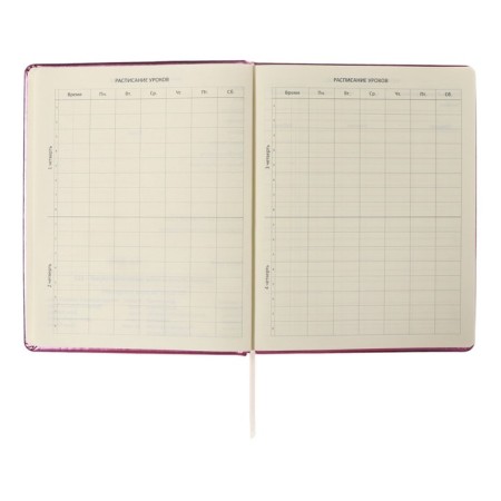 Universal diary for grade 1-11 Smart Thoughts, hard cover, artificial leather, foam rubber, silkography, lies, 80 g/m2-4