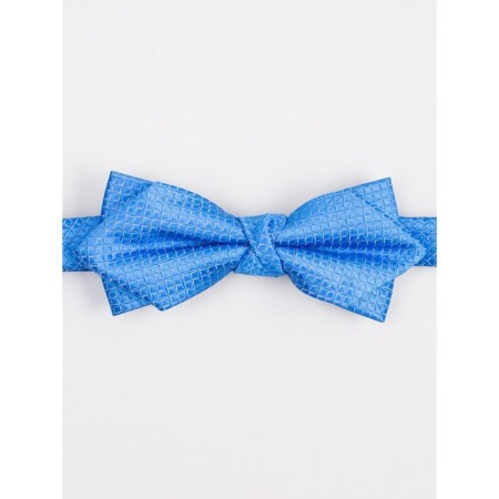 Tie-butter for boys ise, blue color-1