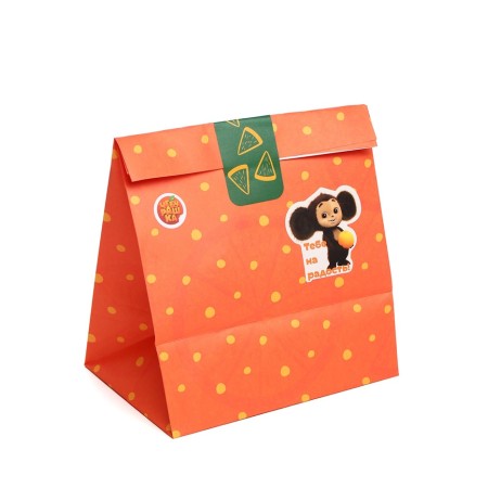 A set of craft packages with stickers, Cheburashka, 18x22x12 cm-5