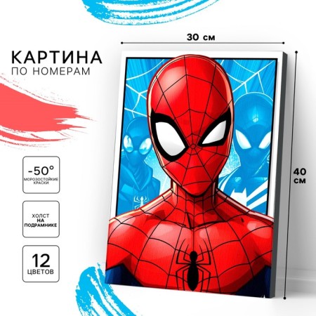 Picture on numbers on a subframe 30x40 cm, Spider-Man