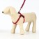 Acunition set is embossed, leash 120 x 1.5 cm, OG 36-49 cm, red-blue
