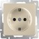 Grounding socket WL11-SKG-01-IP20, Shampan