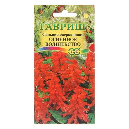 Salvia flowers "Fiery Magic", o, 0.05 g