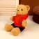 Soft toy "Bear in a blouse", color mix