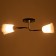 Lily chandelier (flower) 2x15W E27 Model: BR 00254 Black