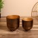 Kashpo "Goldi" metal (set 2 pcs), diameter 30 and 26 cm