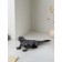 Figure "Varan", polystone, 14 cm, silver color
