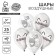 Shar Latex 12 "I love", romantic cats, 25 pcs.