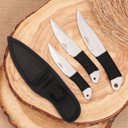A set of throwing knives "Zakari", in a braid, 3pcs.-2