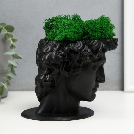 Concrete Kashpo "David" with moss black 11.5x15.5x12 cm (moss green stabilized)-1