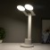 Sensory “circles” table lamp with organizer LED 20W USB battery 44x36x15 cm Risalux 78003