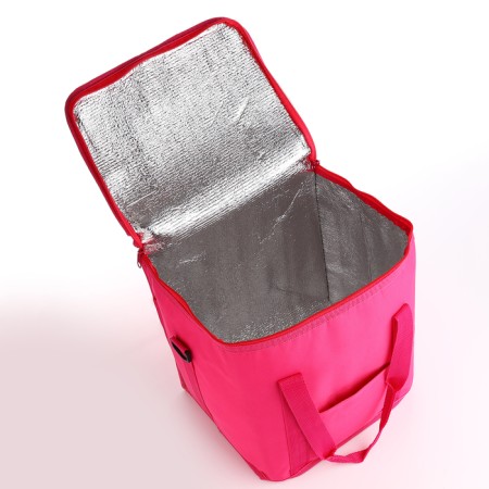 Thermosuma with lightning, external pocket, 22 l, pink color-2