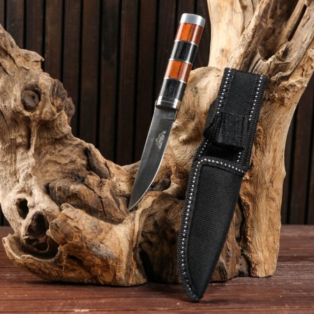 Hunting knife "Broddy" 20cm, blade 80mm/2.9mm-1