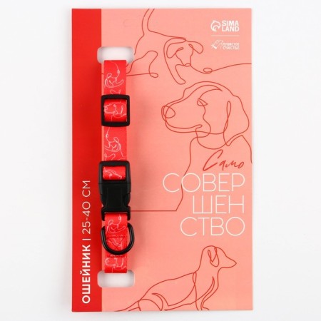 Collar One Line, fastener - fastx, 2 cm 25-40 cm-1