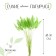 Dry -flowers "Lagurus", set of 30 pcs., Green color