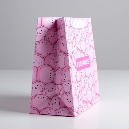 Gift laminated square, packaging, Surprise, 22 x 22 x 11 cm-2