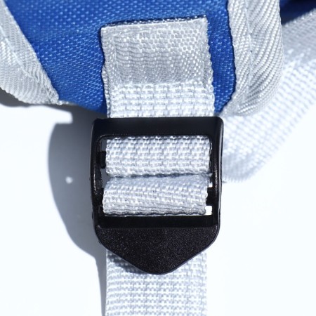 The backpack for carrying animals is transparent, 31 x 28 x 42 cm, blue-10