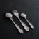 A set of cutlery "Troika", 36 items, thickness 2 mm, decorative box, silver color