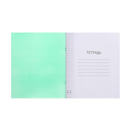 Notebook of 12 sheets in Calligrata "Green", plastic cover, with a multiplication table, OFSET block-2