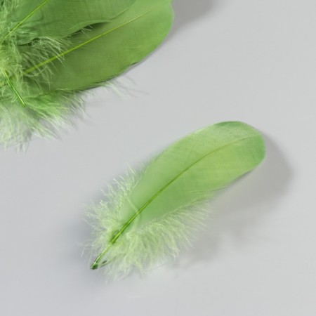 A set of feathers of the goose 13-18 cm, 20 pcs, army green-2