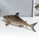 Souvenir Polystone Light "Shark" 14x20.5x45 cm