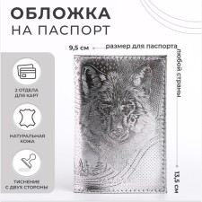 Cover for passport, silver color