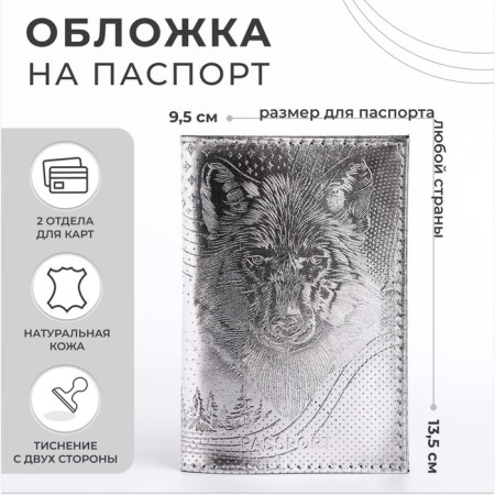 Cover for passport, silver color