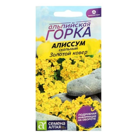 Flower seeds Alissum "Golden Carpet", MN, CP, 0.1 g-2