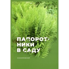 Fern in the garden. Markovsky Yu.B.