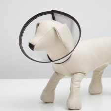 Veterinary collar 