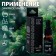 Essential oil "Pine" 10 ml with a pipette