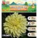 Georgina decorative "Sisa", rr I, 1 pc, spring 2024