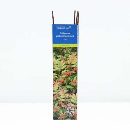 Ryabinnik Ryabinolite (series Northern Garden) "Sam", 1 pc, tube, spring 2025