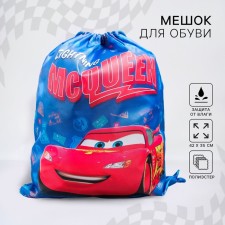 A bag for shoes 420 x 350 mm, car 