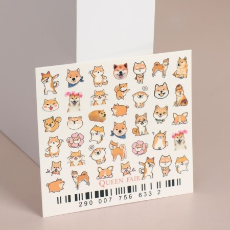 Slider - nail design "Pyosik", multi -colored