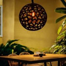 Ceiling light 