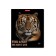Notebook of 48 sheets in the Erichkrause Strong and Brave cage, cover coated cardboard, matte lamination, mix