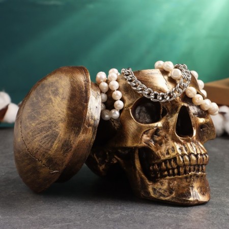 Bronze Skull Casket for Skull, 16x15x22cm