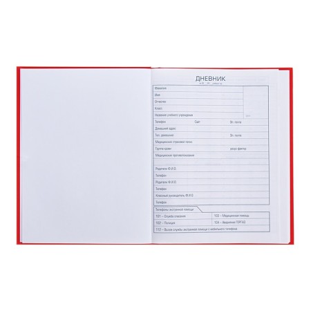 Universal diary for grades 1-11 gold on red, hard cover, matte lamination, 3D foil, 40 sheets-4