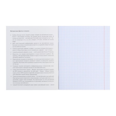 Notebook 48 sheets in the cell of the grapheme "Foreign language", cover shaking cardboard, twin-lak, OFSET block-1