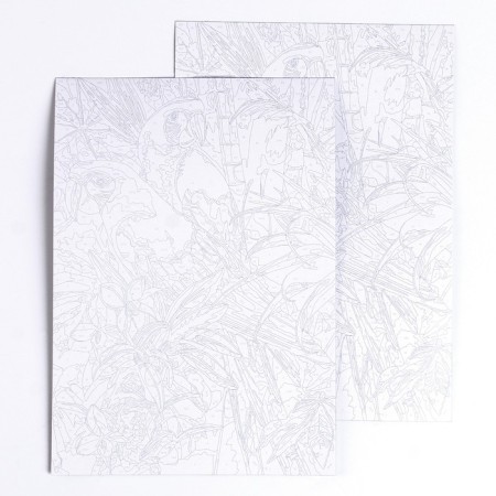 Set for creativity "Picture by numbers. Parrots ", 21.5 × 1.5 × 32 cm-2