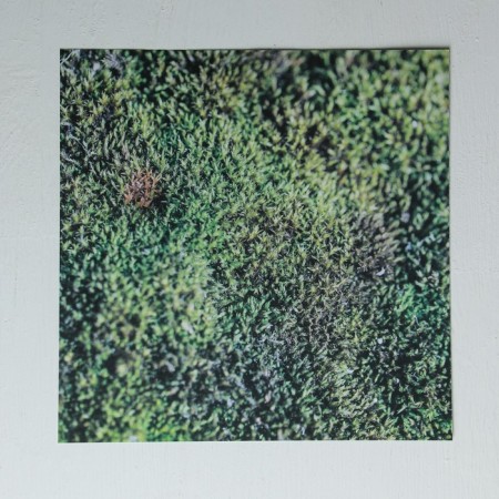 A set of scrapbooking paper with foil "for fishing", 12 sheets, 30.5 × 30.5 cm-12