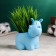 Pot "Hippo" 12x9x11cm