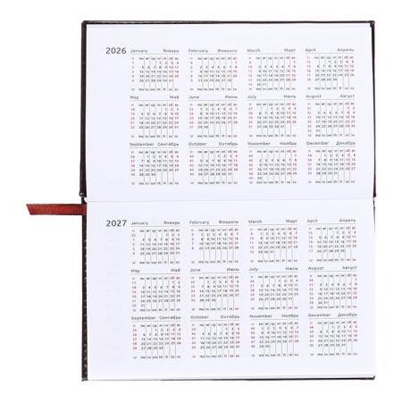 PROVING PARMAN DALL 2025, 155 x 95mm 64 sheets, Devente.Matrix, solid cover to leatherette with foam, embossing, block 70, burgundy-9